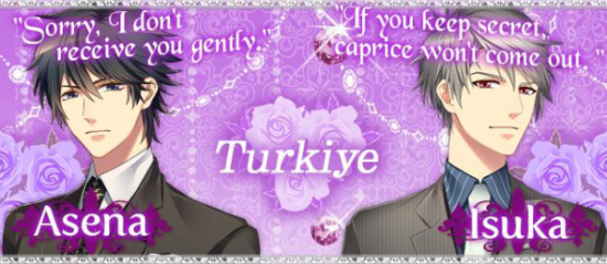 Turkiye Banner